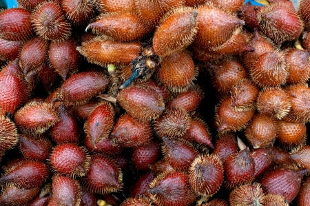 Salacca zalacca, Thai sweet fruitの写真素材