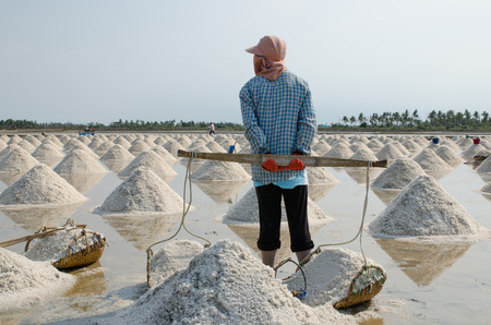 salted falm labor in Thailandの写真素材