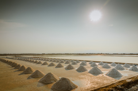 salted falm under sunset  in Thailandの写真素材