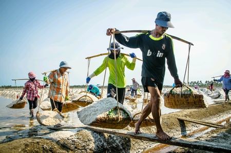 Salted farm labourers in Thailand
