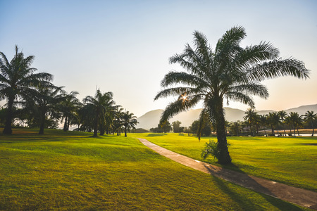 sunset in the golf courseの写真素材