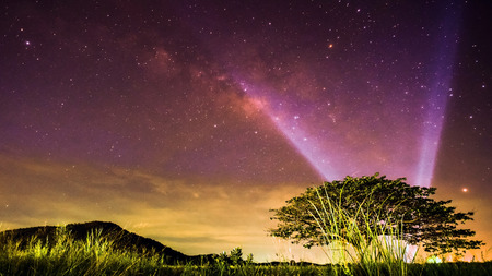 Big tree under milky way at Hua Hin Thailandの写真素材