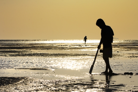 child on sunset beachの写真素材