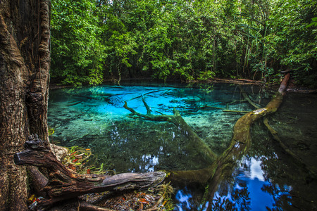 Emerald Poolの写真素材