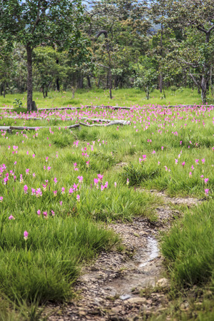 Major tourist attraction of the Chaiyaphum Provincial.の写真素材