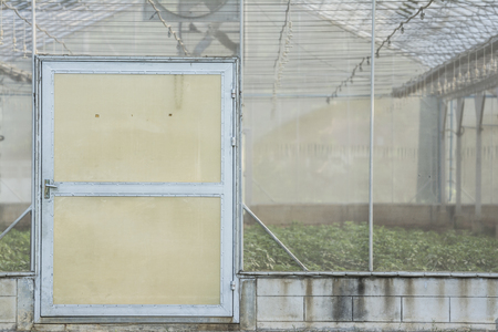 Front door of the plant nurseryの写真素材