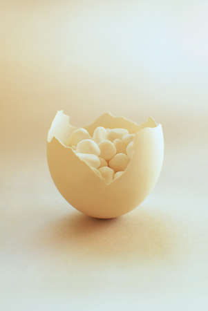 Eggs and pebblesの写真素材