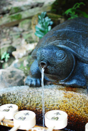 Matsuo taisha turtle wellの写真素材