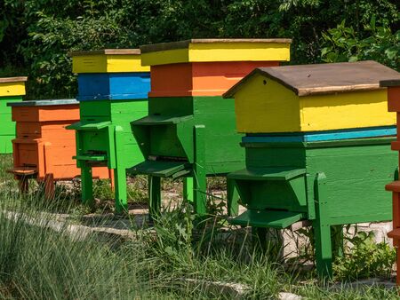 Apiary with colorful wooden beehives on meadow with green grass in the spring