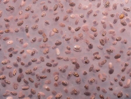 Close up of a glass with water and chia seeds and aroniaの写真素材