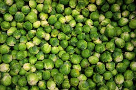 Close up of Brussels sprouts rosenkohl