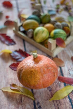 Autumn still life with pumpkins and leaves on old wooden background.Autumn themeの写真素材