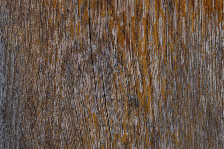Empty plank wooden wall texture background.の写真素材
