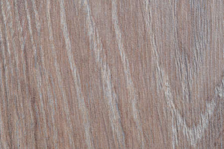 Empty plank wooden wall texture background.の写真素材