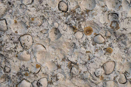 Background texture of stone wall. Natural stone, a wall of natural stoneの写真素材