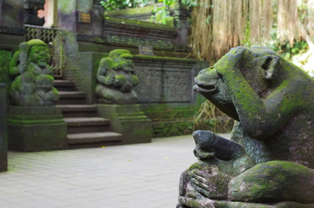 Temple of Monkey Forest