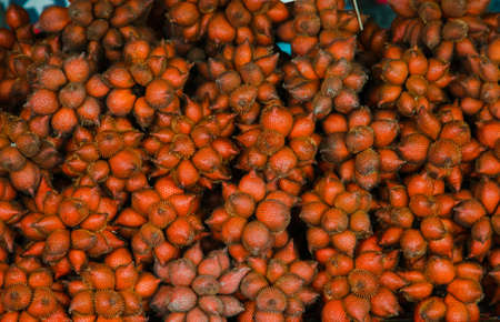 Salak fruit for sale at the market in Thailand. Salacca wallichiana or Salacca zalacca is local traditional Thai fruit, fruit shop in Thailandの写真素材