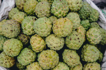 Organic Custard apple or Sugar apple. growing on a tree in backyard garden in Thailand.
Custard Apple on market thailandの写真素材