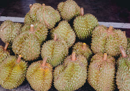 Group of fresh durians in the durian market thailand.