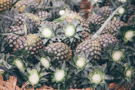 Pile pineapple fruit which has been harvested and display for sale on farmers table in market.