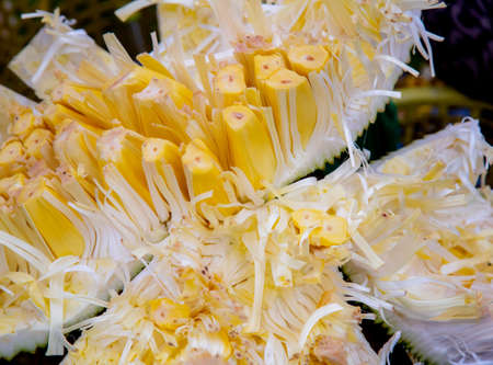 Fresh sweet jackfruit segment ready for eat. Cutting jackfruit. Vegetarian, vegan, raw food.Tropical...