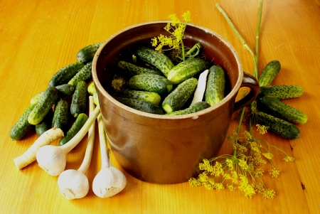 Preparing sour cucumbers preserve                        の写真素材