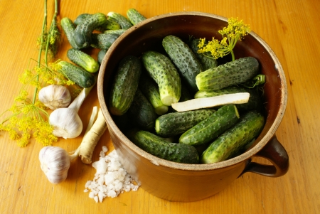 Preparing sour cucumbers preserve                     の写真素材
