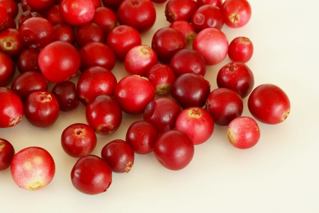 Lingonberries                  の写真素材