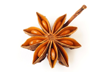 Star anise                  の写真素材