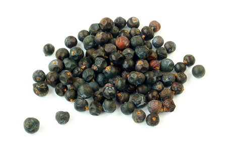 Juniper                  の写真素材
