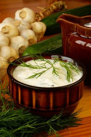 Tatziki sauce            の写真素材