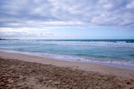 Coconut Palm trees on a white sandy beach in the Caribbean sea, Saona island. Dominican Republicの写真素材