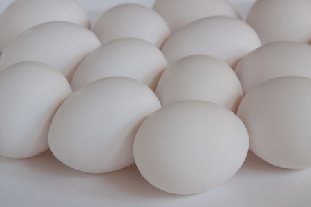 White Eggsの写真素材