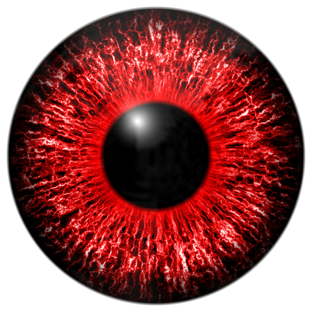 Red eye iris isolated element on white backgroundの写真素材