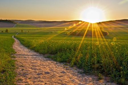 The path meandering through the countryside at sunset