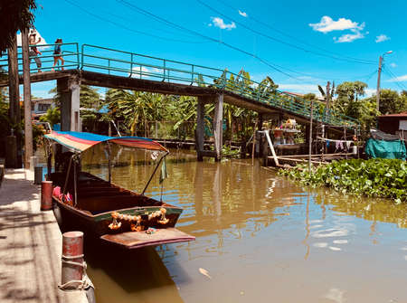 boat and bridge