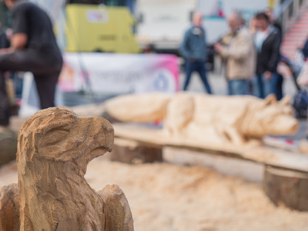 ALMERE, NETHERLANDS - OCT. 26: Wooden bird of prey sculpture made by an artist at the annual Scupture Festival being held in the townsquare of Almere on June 26, 2013のeditorial素材