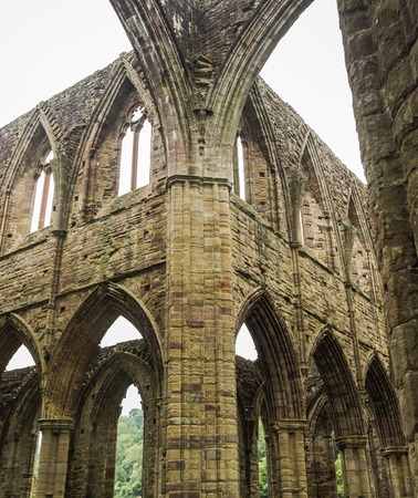 Ruins of Tintern Abbey, a former church in Walesの写真素材