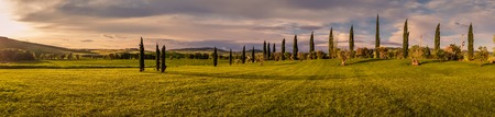 Panorama of Tuscan landscape of Val d'Orcia at sunset with cypress trees lined upの写真素材