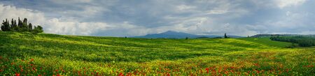 Panorama of Tuscan field near Siena in summerの写真素材