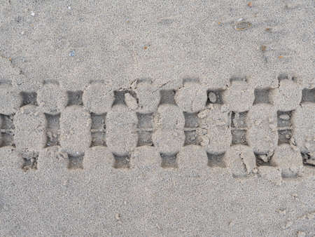 Tire tracks of a bicycle in a sandy beachの写真素材