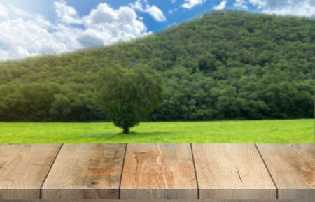 Wooden table top on blur mountain and grass field.Fresh and Relax concept.For montage product...