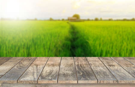 Wooden table top on blur rice field background in morning  atmosphere.For montage product display or design key visual layout.View of copy space.の写真素材