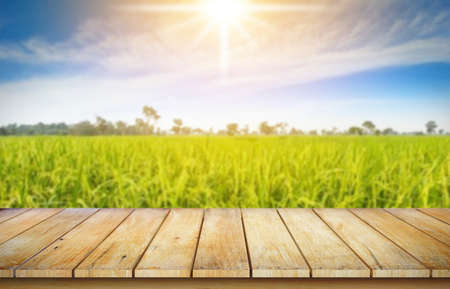 Wooden table top on blur rice field background in daytime.Harvest rice or whole wheat.For montage...
