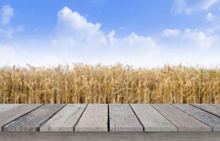 Wooden table top on blur dry corn field background with blue sky.For montage product display or...