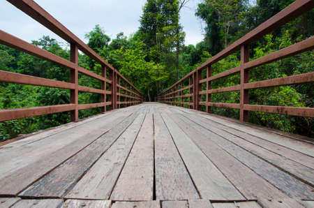 Wooden bridge with green trees forest.Natural background.View of copy space.Khao yai nation park,Thailand.の写真素材