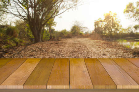 Wooden table top on blur green forest or gardent in evening.Fresh and Relax concept.For montage product display or design key visual layout.View of copy space.の写真素材