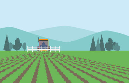 Combine harvester on vegetable field.Harvest product of agriculture.Green agricultural concept.Use...