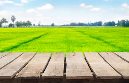 Wooden table top on blur green rice field background in the morning.Fresh and Relax concept.Perspective view.For montage product display or design key visual layout.View of copy space.の写真素材