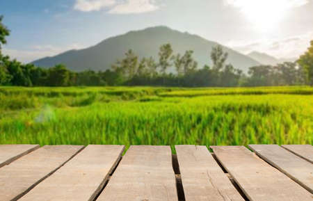 Wooden table top on blur rice field and mountain background.For place food,drink or health care business.fresh landscape and relax season concept.View of copy space.の写真素材
